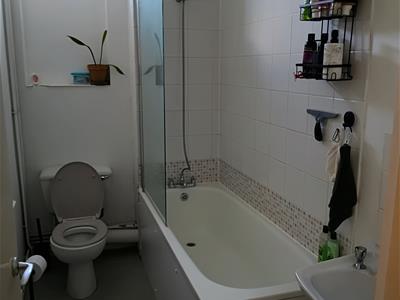 Picture 7